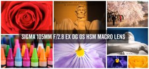 sigma 105mm macro collage 1068x500